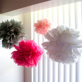 12 Tissue  Pompoms (Pink+ Hot Pink + White+ Silver)